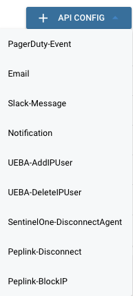 APIs/endpoints tab with the + API CONFIG button