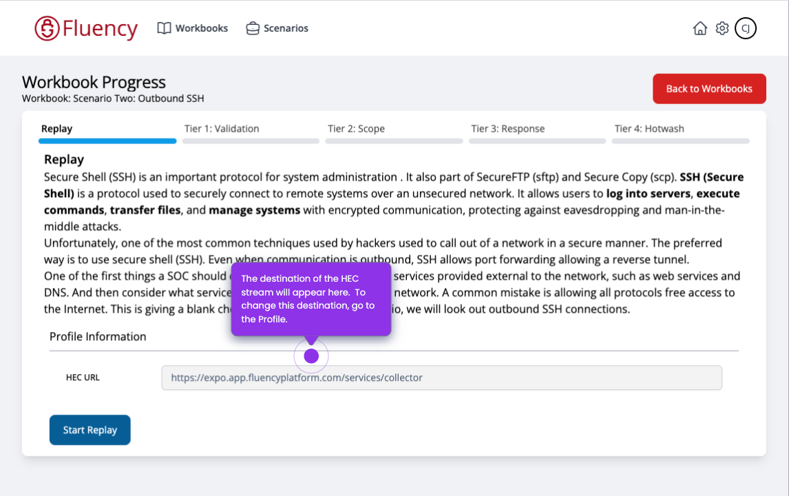 Workbook Progress page on the Replay tab, showing the Profile Information section with the HEC URL field above the Start Replay button